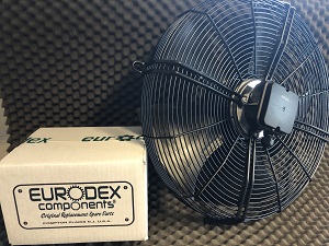 Sesino Electric Fan